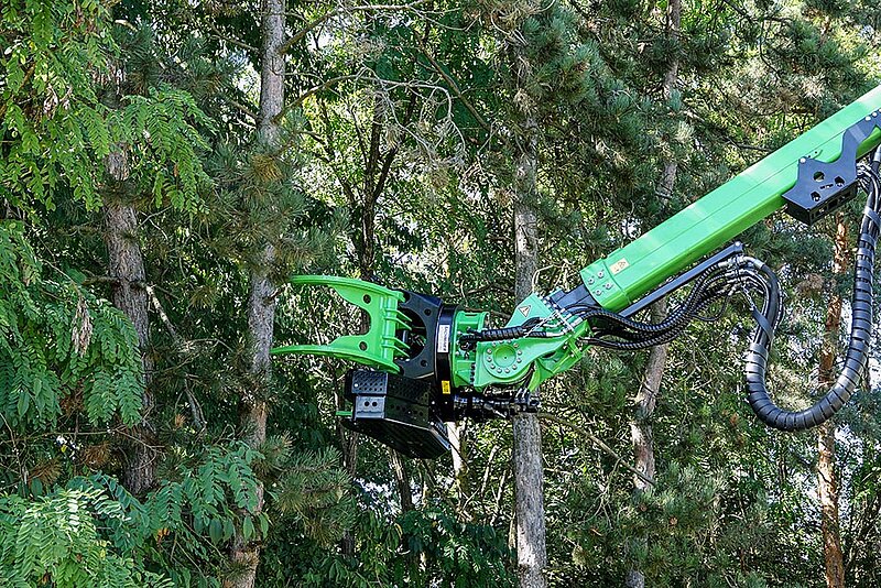 Tilt-Grapple Saw Albach